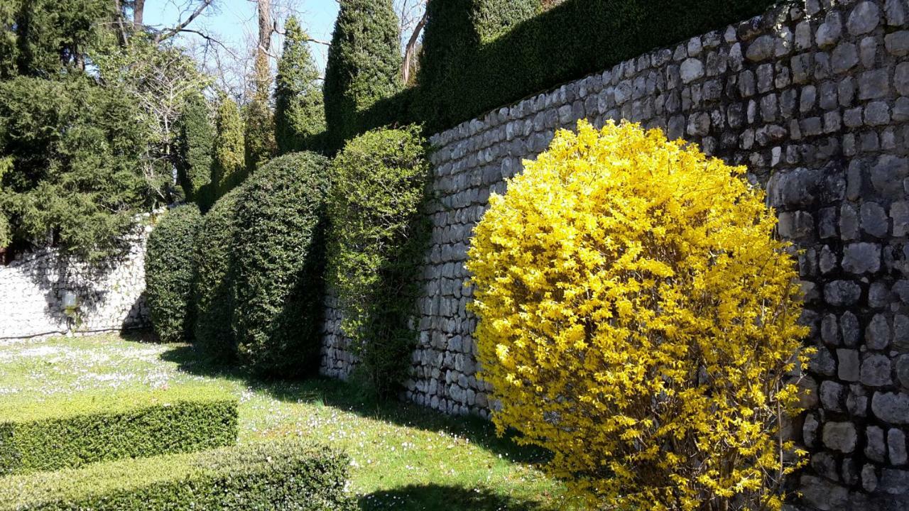 Palazzo Scolari Bed & Breakfast Polcenigo Luaran gambar